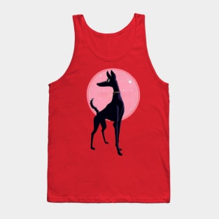 Posing greyhound in the limelight Tank Top